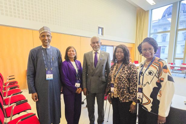 Nigeria’s Foreign Affairs Minister, Hon. Yusuf Maitama Tuggar, during a panel session at the Berlin Global Dialogue in Germany.